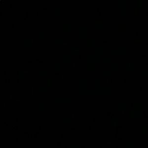 Meet your Posher, Cora